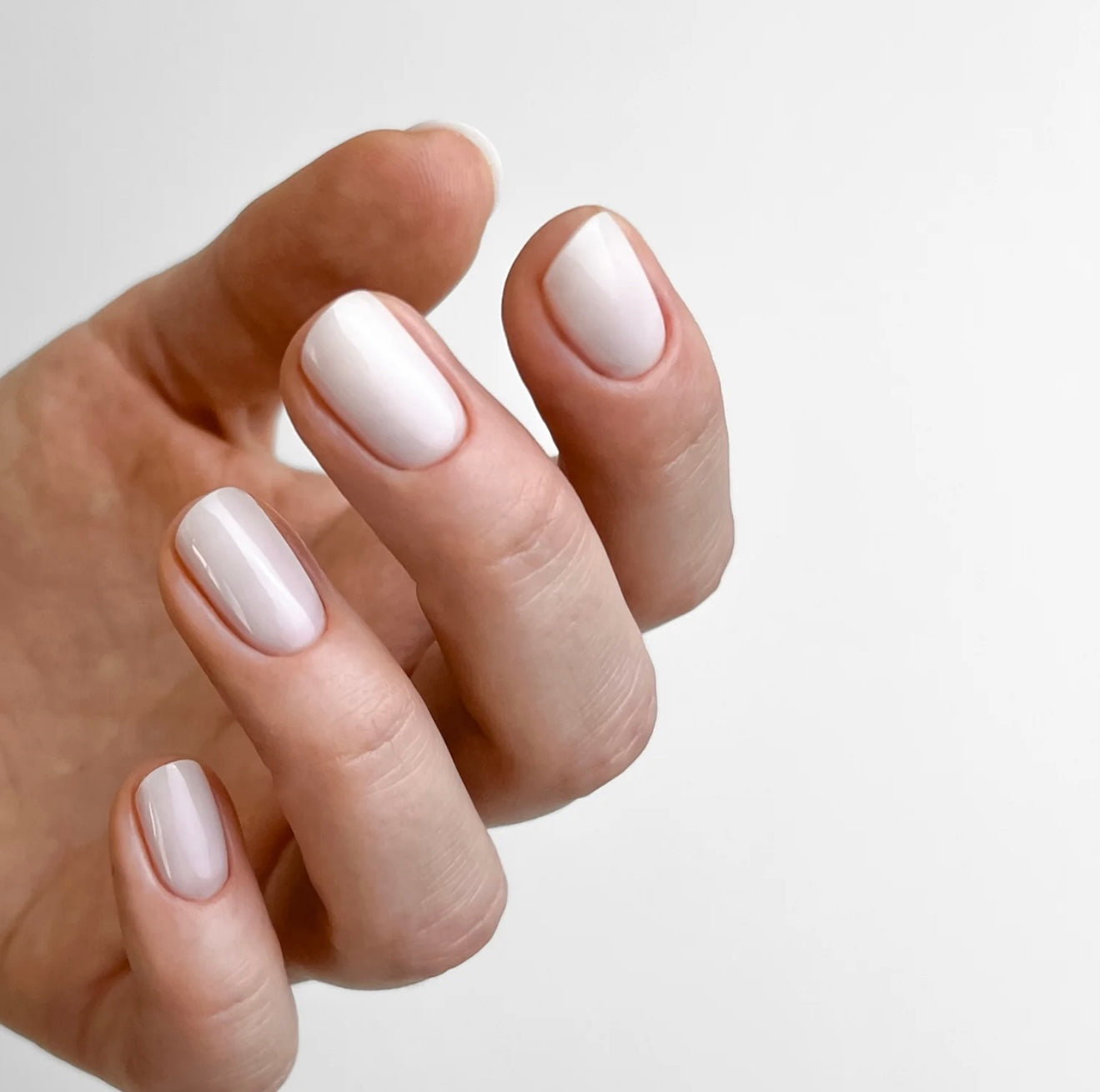 Roja Hard base BLANC